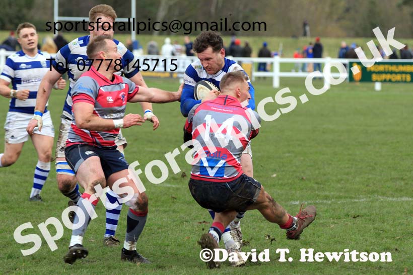 Tynedale v Stourbridge, Tynedale Park, Corbridge, Northumberland. Photo: David T. Hewitson/Sports for All Pics